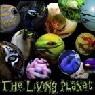 Living Planet