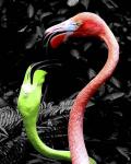 Flamingos Pink & Green