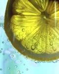Lemon Wheel