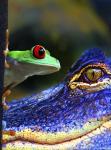 The Amphibean & The Reptile