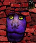Stone Monkey
