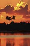 Red Sky At Night