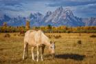 Breakfast in the Tetons