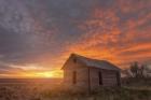 Sunset on the Prairie