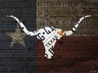 Longhorn Art With Flag