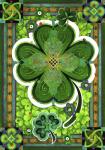 Shamrocks