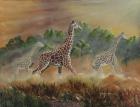 African Spirit