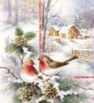 Bird Couple On Acorns In Snow