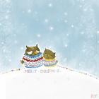 Merry Christmas Owl Couple