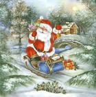 Santa's Christmas Sleigh Ride