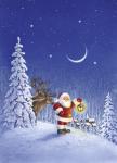 Santa's Evening Search