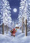 Santa's Trail