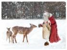 Santa Greets The Deer