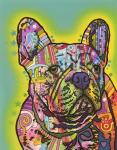 French Bulldog III