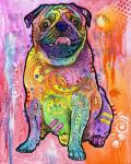 Pug