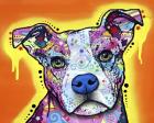 A Serious Pit