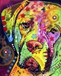 Mastiff