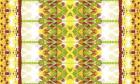 Lime Pattern