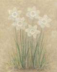 White Tulips