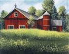 Red Barn Summer 1