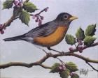 Robin