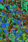 Abstract 5