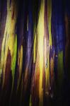 Abstract 12