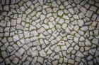 Aerial View of Cobble Stoned Path
