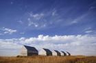 Abandoned Sheds in a Wheat Field