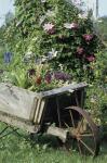 Barrow of Flowers