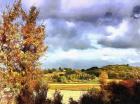 Autumn Life in Tuscany copy