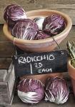 Raddichio Rustic Display