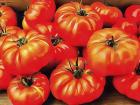 Rustic Tomatoes