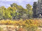 Tuscan Countryside In Autumn