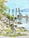 A Visit To The Lakeside