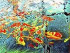 Koi Carp Abstraction