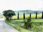 Misty Morning in Umbria