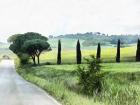 Misty Morning in Umbria