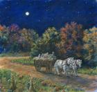 Moonlight Hayride