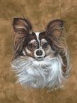 Gizzy Papillion Dog