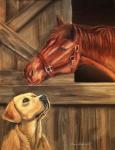 Labrador Retriever And Horse Barn