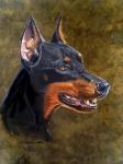 Shatzi The Doberman