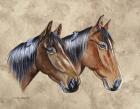 Sanders Horses Feathers