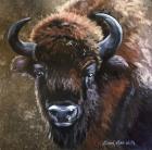 Buffalo Bob