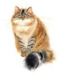 Siberian Cat