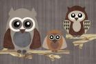 Owls