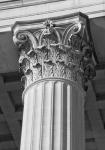 Corinthian Column II