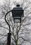 Lamp and Branches (Color)