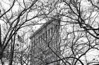 Veiled Flatiron Building (b/w)