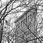 Veiled Flatiron Building (b/w) (detail)